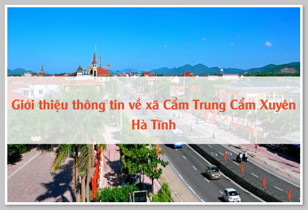 Giới thiệu thông tin chi tiết về xã Cẩm Trung Cẩm Xuyên Hà Tĩnh